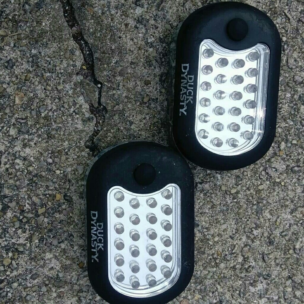 LIGHT - Picture 2 of 2